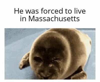 NOOOOO