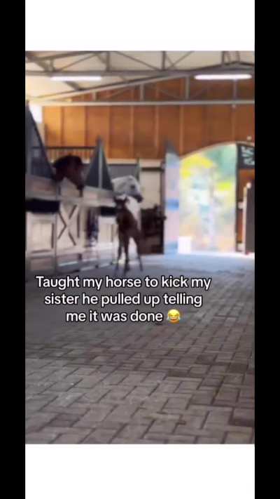 Good horse