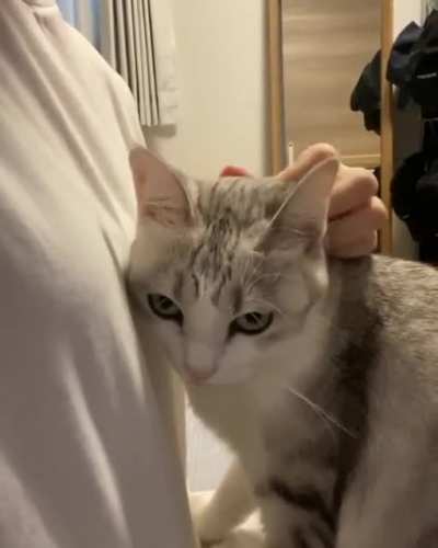 Someone is in love