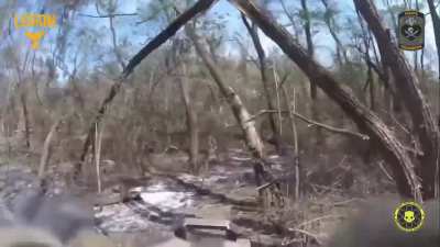 Intense footage published by the 