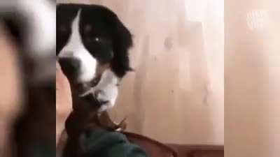 it was only a kiss