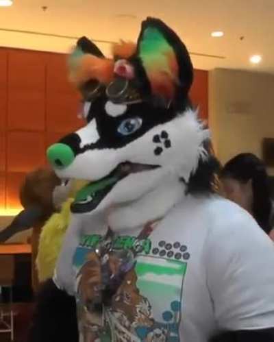 Allgasnobrakes_irl