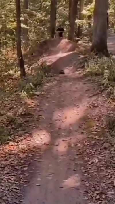 What bike is this ?