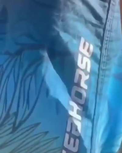 S&oacute; beca de qualidade!