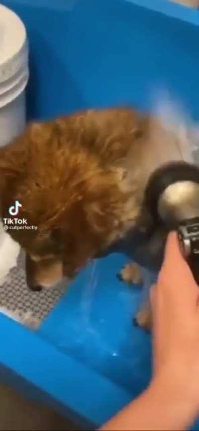 aoooo-ARARRARARRA