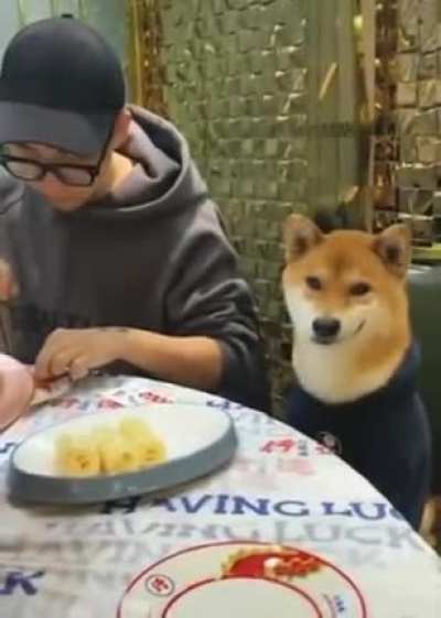 Doge is Chad