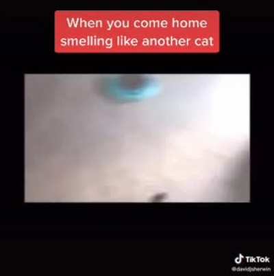 Caught cheating