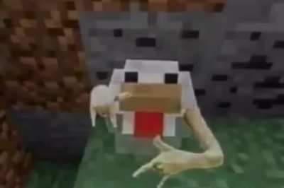 cock