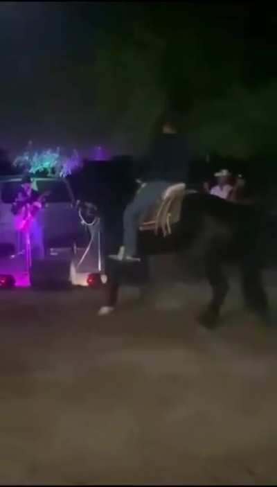 Rock bands and horses.wcgw?