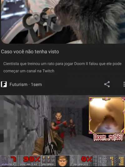 Rato streamer