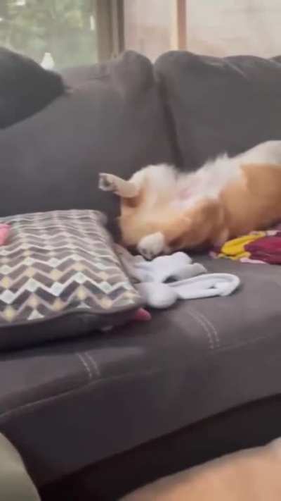 Nap time!