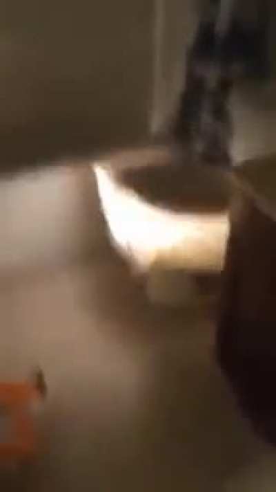 Holy shit