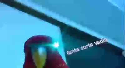 Vai tentar?
