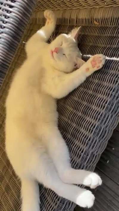 Ma&rsquo;am, are you alright?