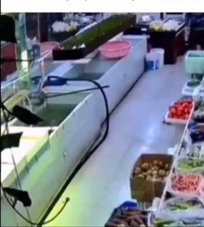 FUCK THIS FISH IN PARTICULAR