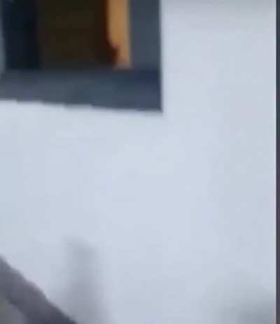 perdi