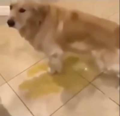 MAA-