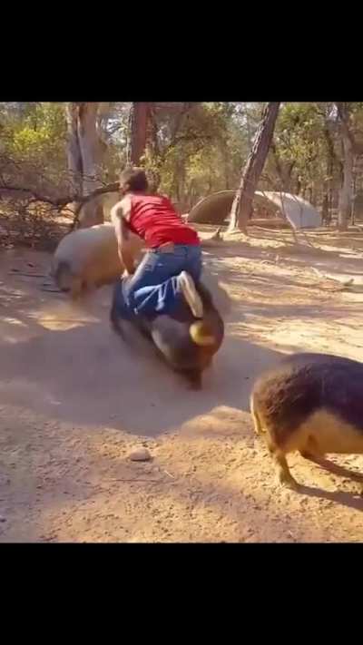 Que!!?? 