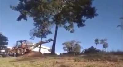 In Mother Russia, you don&rsquo;t push trees down. Trees push you down
