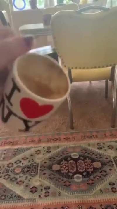 hope this isn&rsquo;t a repost