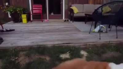 This is how you almost lose a brand new drone&hellip;