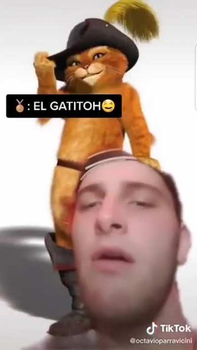 XD