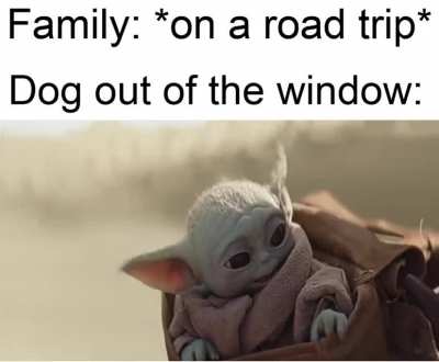 They're the best