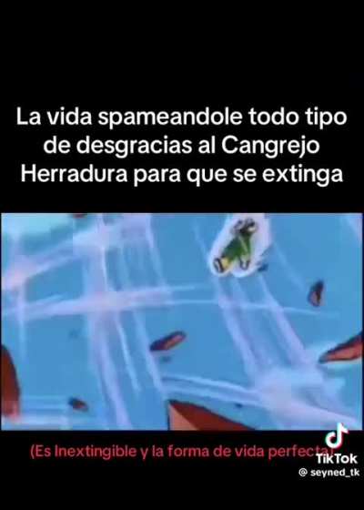 Ese bicho existe desde hace 445 millones de a&ntilde;os