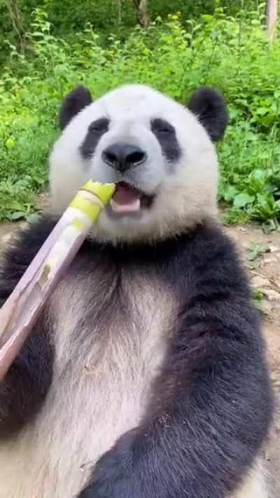 Time to eat? Looks delicious