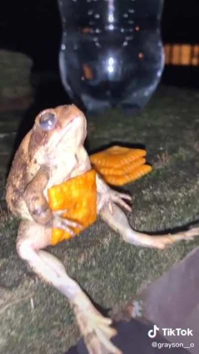 Cheeser