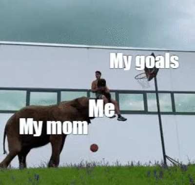 I love my mom.