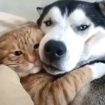 The Great Love