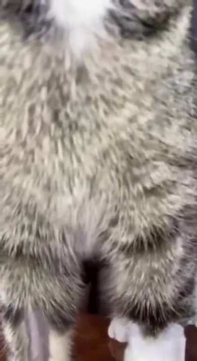 Blursed_Pussy