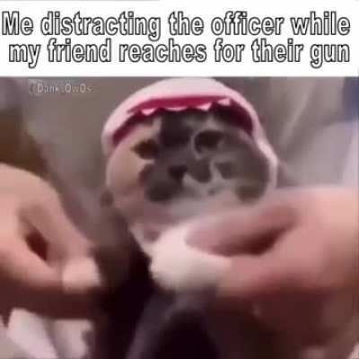 Distraction +100
