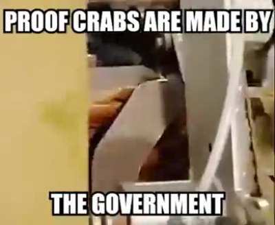 The rule is clear, assemble the crabs