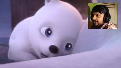Bear