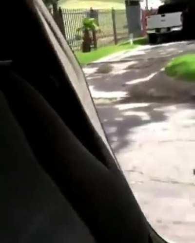 HMC while I take part in the 