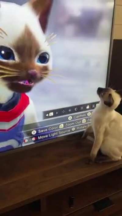 Touch the Palico