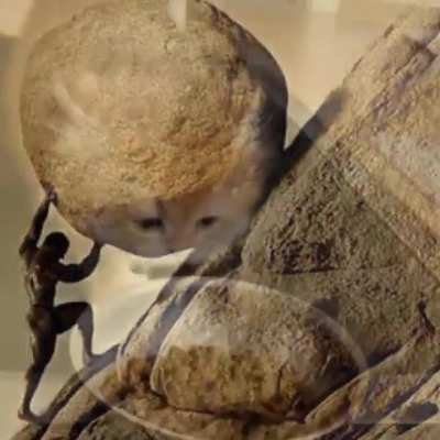 Kittyphus