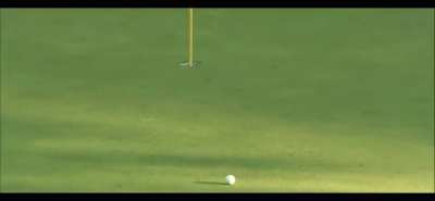 Tiger can roar