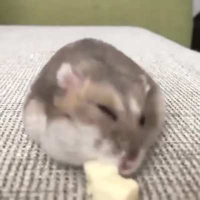 He knows the way, the cute way