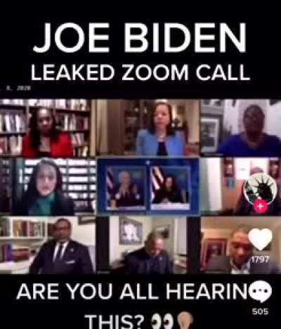 Is this true and verified? Leaked Biden Zoom call (apparently)