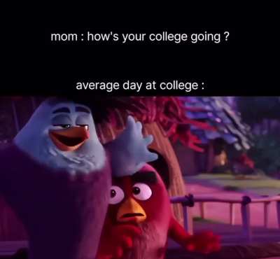 average csuf experience