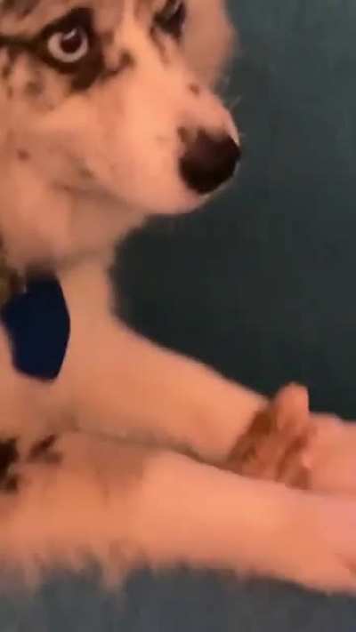 Second clip from IG story