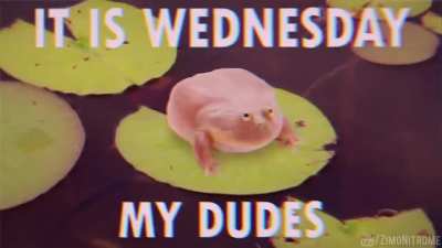Kengan Wednesday