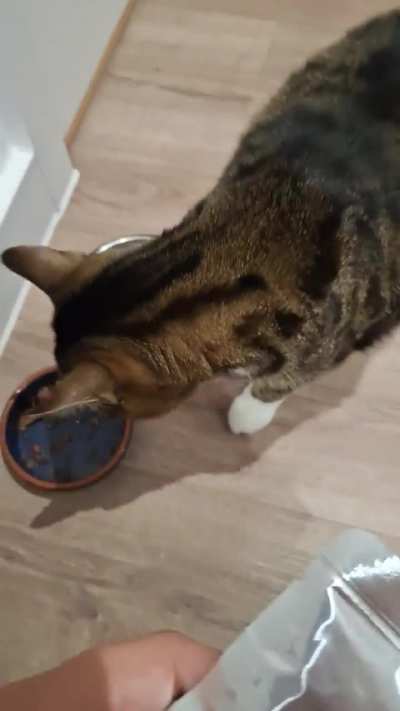 Ah owww = food