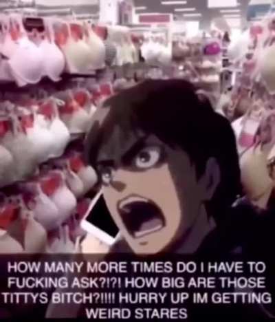 For the Aot fans out there