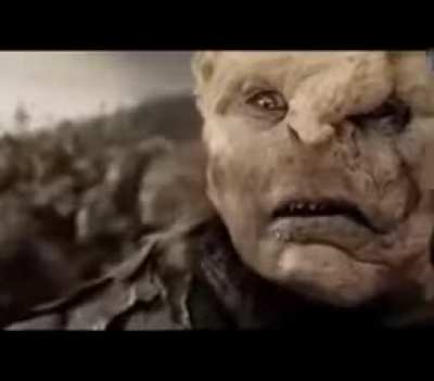Lotr orc project