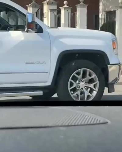 Someone is flying a goose on the street.