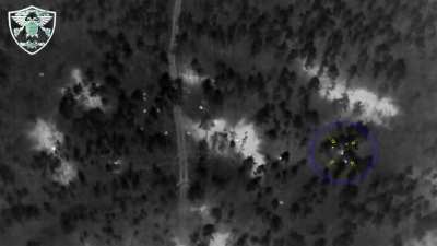 RU POV: Drone footage from the Kreminna forests showing direct artillery hits on Ukrainian soldiers. Aftermath shows a large amount of Ukrainian casualties.